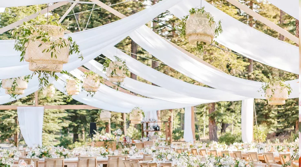 Irimo Limited – Company Profile 2023 copy