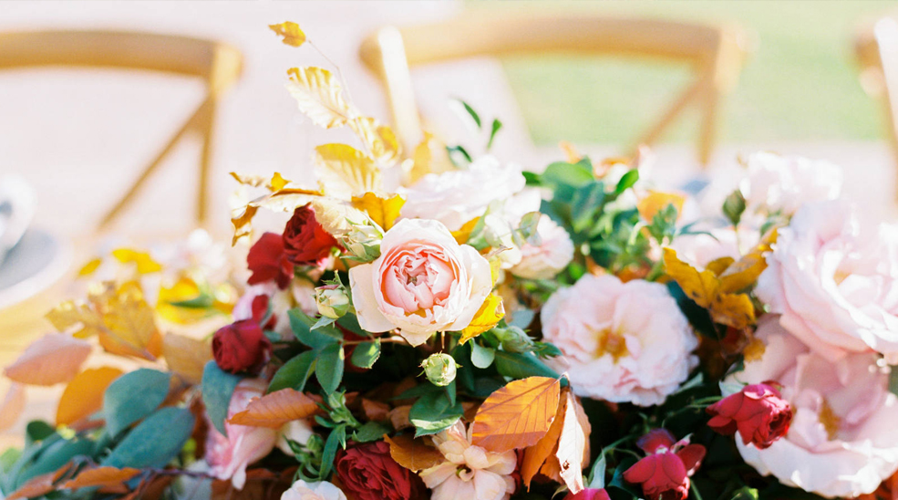 Irimo Limited – Company Profile 2023 copy